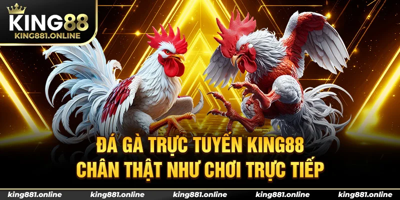 Đá gà trực tuyến chân thật như chơi trực tiếp