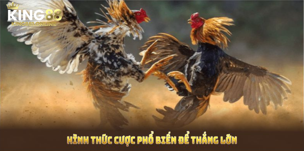 Các hình thức cược trong đá gà King88
